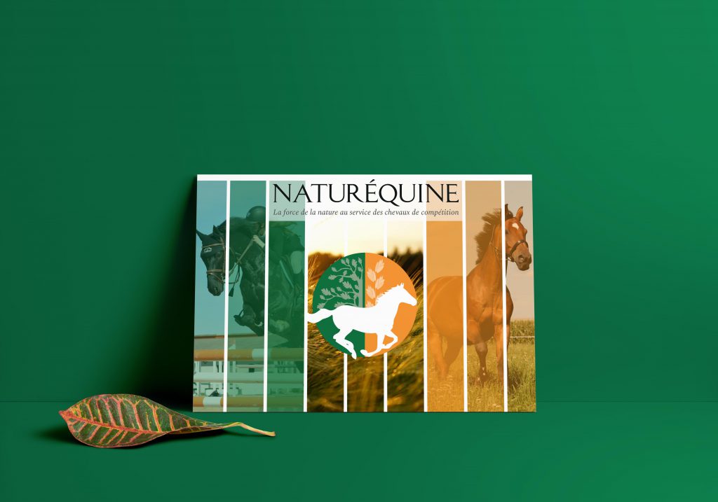 Flyer recto Naturéquine avec logo couleur